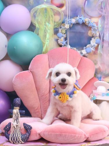 20240807うららちゃん